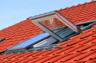 Hunston Green roof window